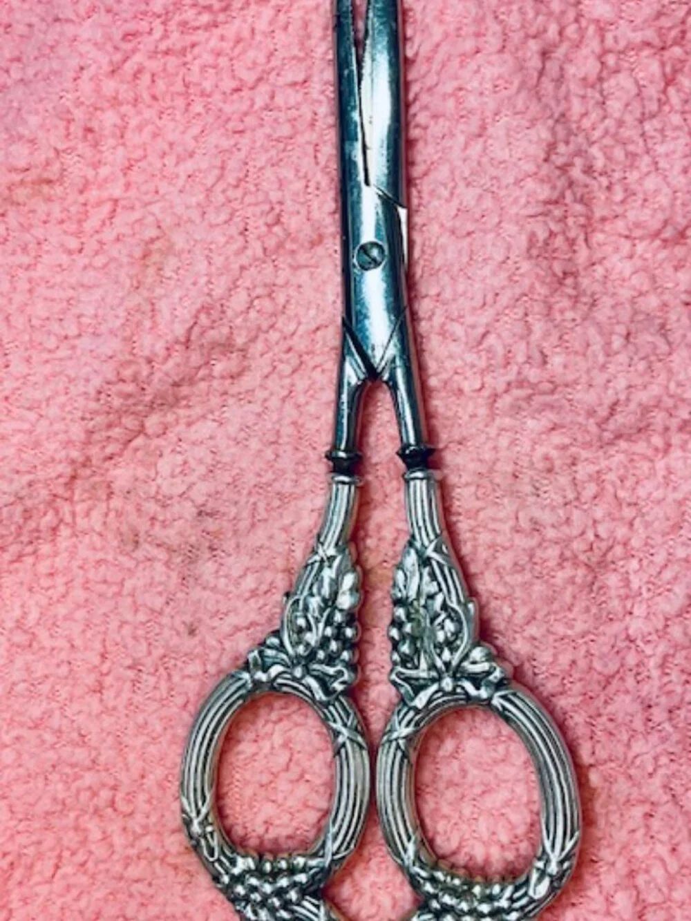 Victorian Grape Shears 7